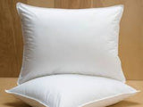 Filled Floor cushion Pack Of 2